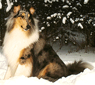 Denver at 11 mos