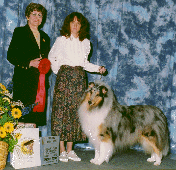 CCA 2000 Denver