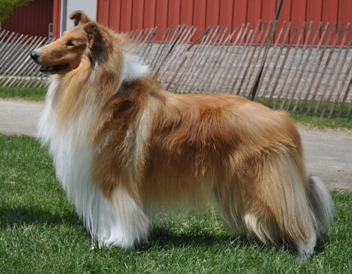 Tucker 2010